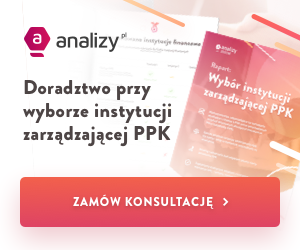 Jak wybrać PPK. Doradztwo przy wyborze PPK.
