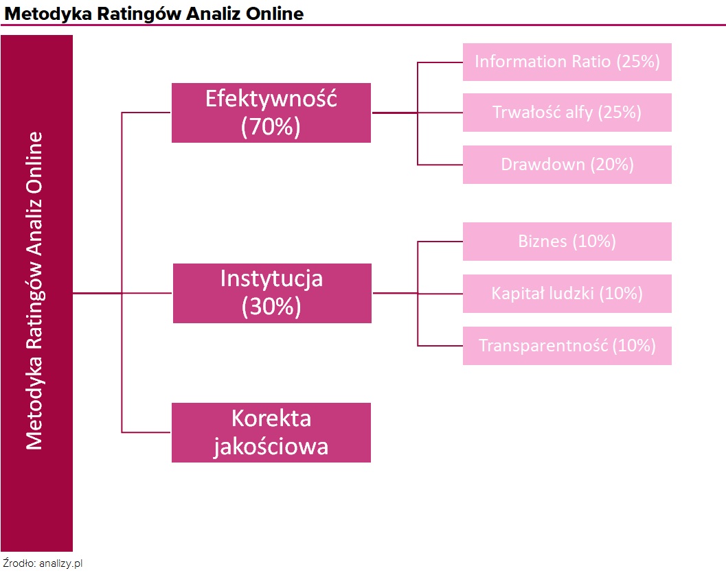 metodyka Ratingów Analiz Online
